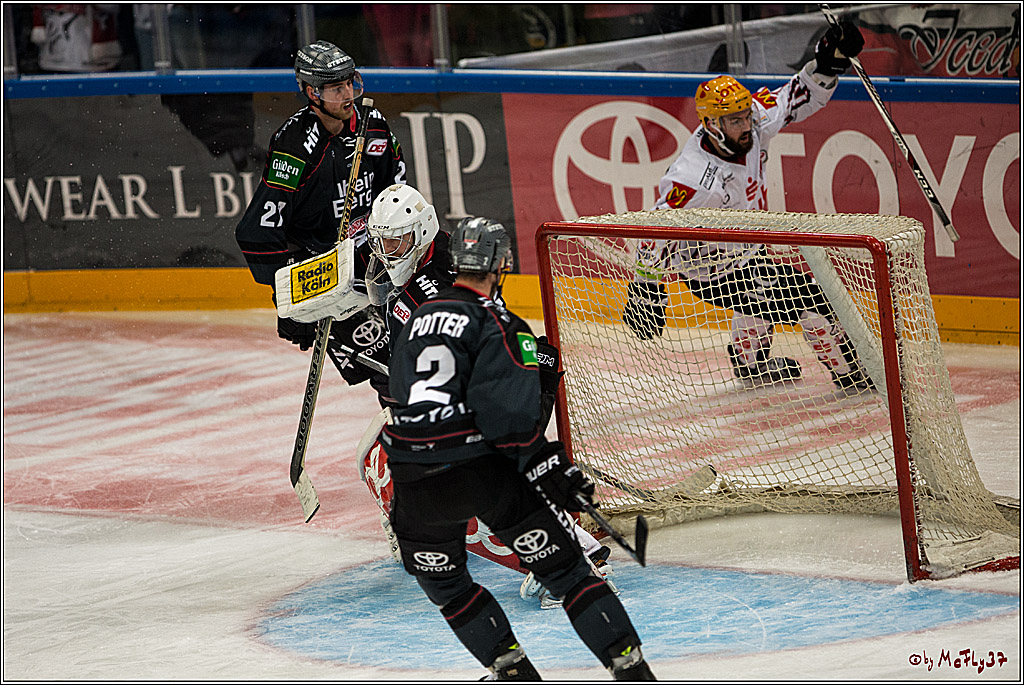 Koelner Haie - Pinguins Bremerhaven, 25.10.2016